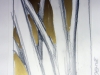 ski-04